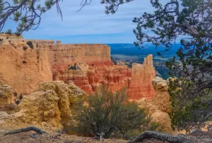 Fine art landscape photograph by Cramer Imaging of Bryce Canyon's Paria Point framed by a pine tree