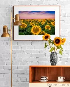 Photograph of Cramer Imaging's "Sunflower Sunrise" on the wall in a room with sunflowers in a vase