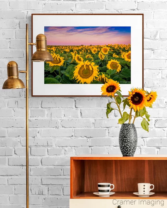 Photograph of Audrey Cramer Photography's "Sunflower Sunrise" on the wall in a room with sunflowers in a vase