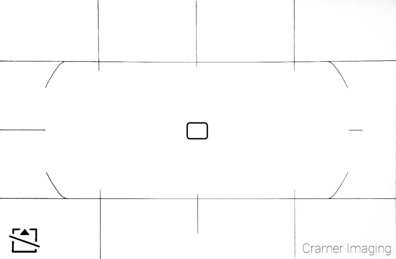 Photo of the in-camera grid overlay for rule of thirds and flat horizon lines