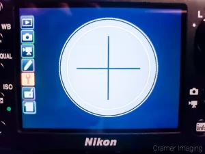 Photo of the virtual horizon function of a Nikon camera