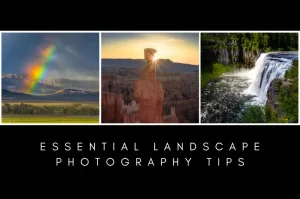 Read more about the article Essential Landscape Photography Tips