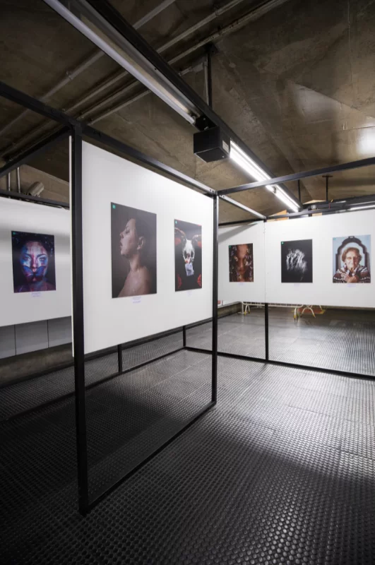 Photograph of an exhibit in a mid or high-end art gallery