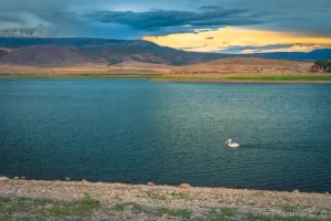 Cramer Imaging's fine art landscape photograph of a white pelican swimming in the Otter Creek State Park Utah reservoir during a moody sunset