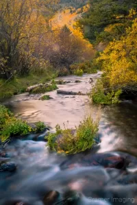 Cramer Imaging's fine art landscape photograph of golden autumn leaves and silky creek water at Twin Creeks at Fish Lake, Utah