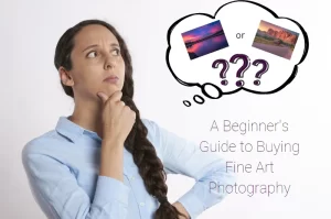 Read more about the article A Beginner’s Guide to Buying Fine Art Photography