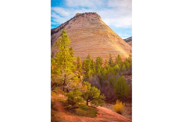 Audrey Cramer Photography's fine art landscape photograph of golden sunset light hitting the Checkerboard Mesa in Zion National Park Utah in autumn or fall