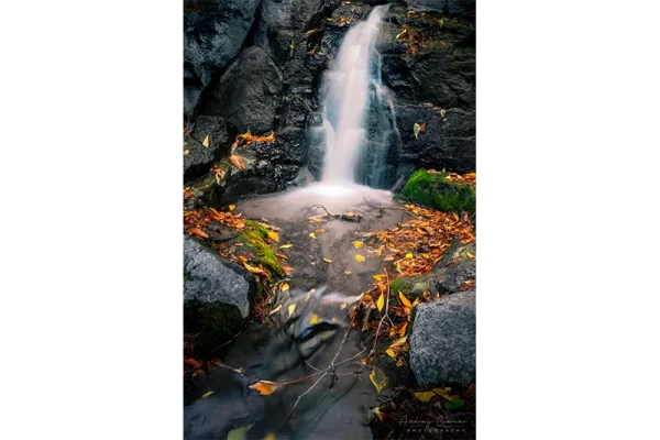 Cramer Imaging's fine art landscape photograph of mini waterfall and pool with fallen autumn leaves