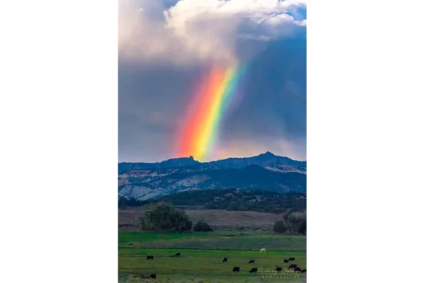 Cramer Imaging's fine art landscape photograph of a rainbow appearing over an idyll or rural landscape with cows in Utah