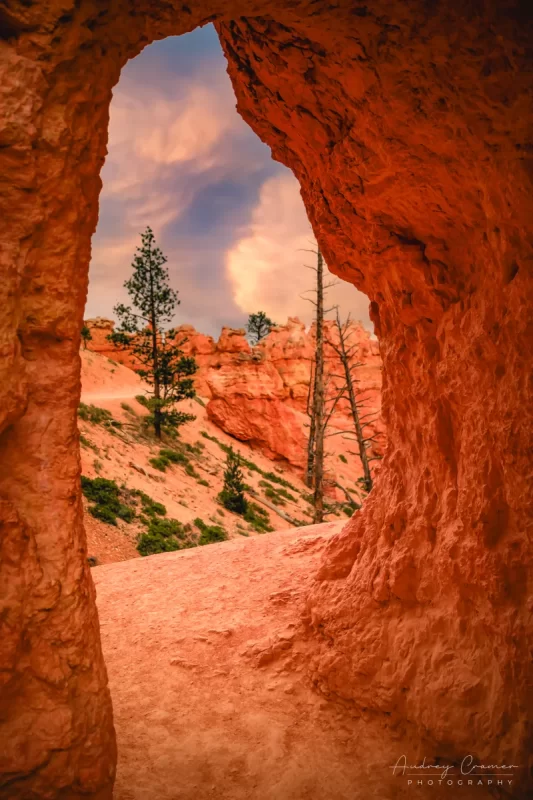 Audrey Cramer Photography's professional quality nature photograph of a walkway arch pointing to a landscape in Bryce Canyon National Park, Utah