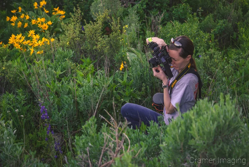 Landscape photographer Audrey Cramer shooting pictures of flowers in a field