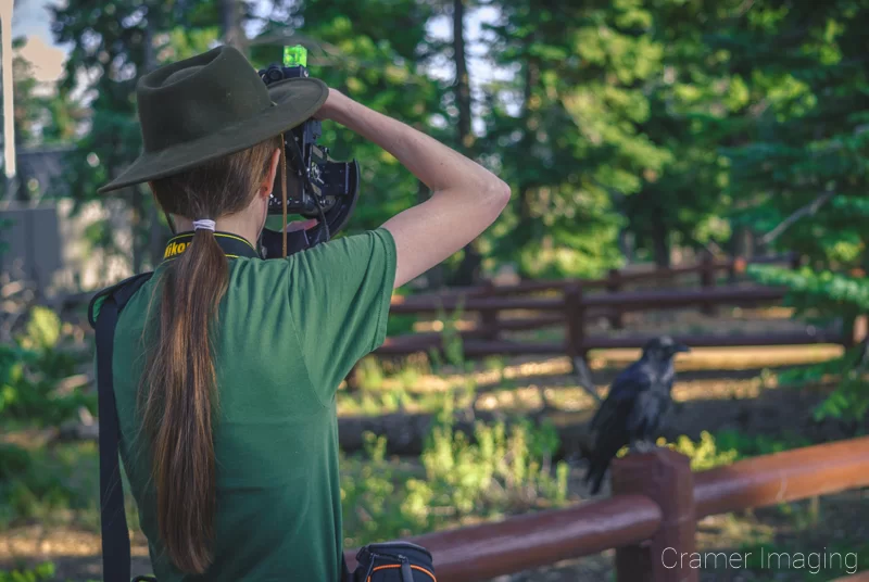 Photo of professional landscape photographer Audrey taking a picture of a raven by Audrey Cramer Photography