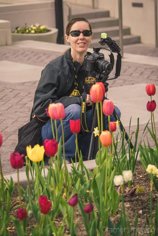 Photographer Audrey Cramer taking pictures of several colorful tulip flowers