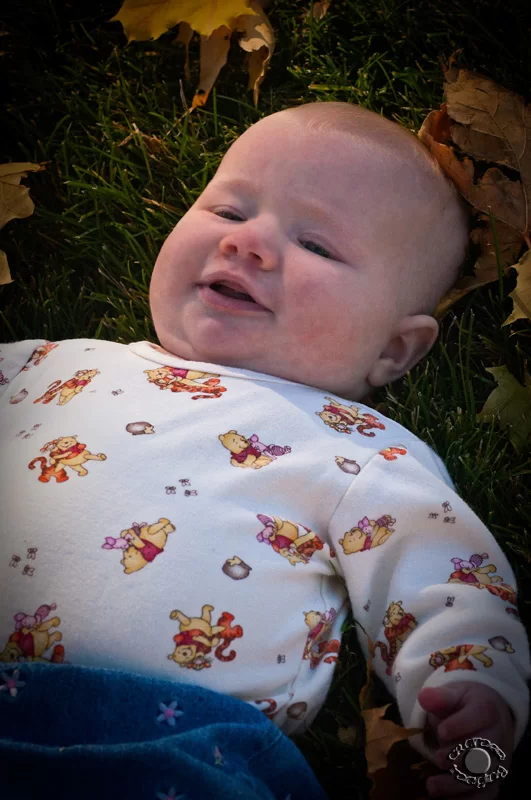 portrait of a baby on the grass