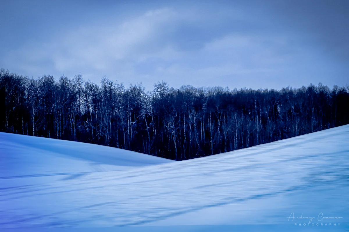 Cramer Imaging's professional quality landscape nature photograph of black trees against very blue sky and snowy hills in Bannock, Idaho