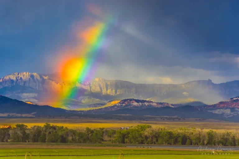 Read more about the article Chasing Rainbows