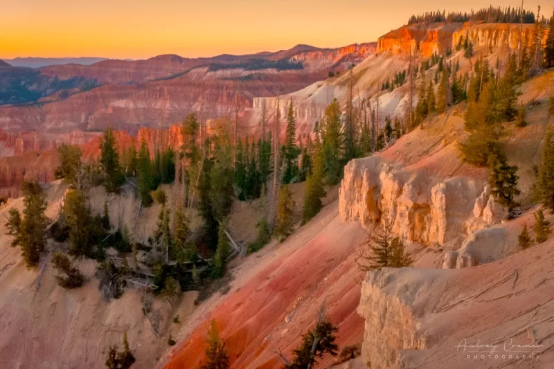 Audrey Cramer Photography's fine art landscape photograph of golden sunset light illuminating Cedar Breaks National Monument Utah