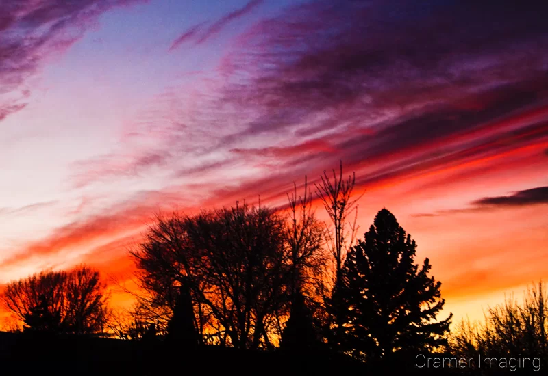 Professional quality nature photograph of a multi-colored sunset with trees in silhouette in Pocatello, Bannock, Idaho by Audrey Cramer Photography