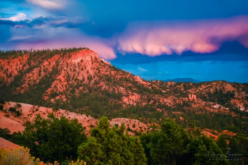 Audrey Cramer Photography's fine art landscape photograph of cotton candy pink clouds over the lookout point at Bryce Canyon National Park Utah