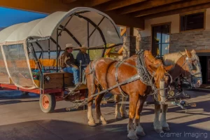 Audrey Cramer Photography's photograph of two horses attached to a covered wagon for tourist rides in Bryce City Utah