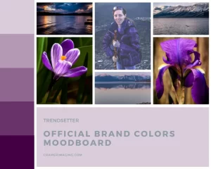 Mood board featuring photos and brand colors for Cramer Imaging