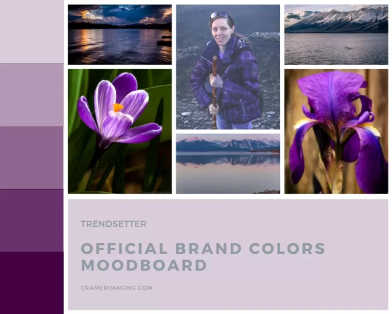 Mood board featuring photos and brand colors for Audrey Cramer Photography