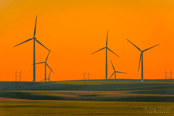 Audrey Cramer Photography's landscape photograph of windmills or wind turbines in a field at sunset in Ririe, Idaho