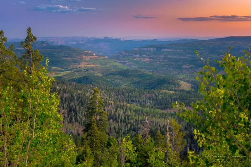 Audrey Cramer Photography's fine art landscape photograph of an evening view down into a forested valley at sunset