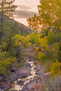 Cramer Imaging's fine art landscape photograph of fall or autumn colors and a stream at sunset in Kolob Canyon Zion National Park Utah