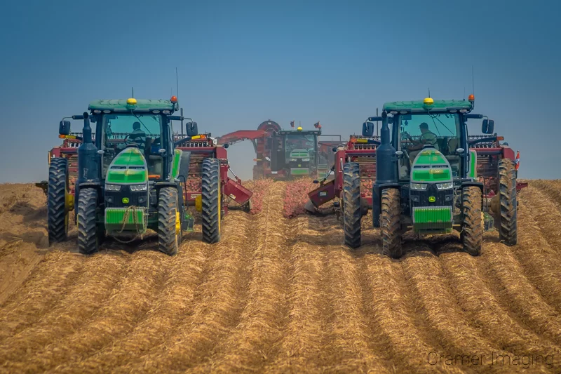 Photograph of John Deer tractors harvesting potatoes from a potato field in Aberdeen Idaho as taken by Audrey Cramer Photography