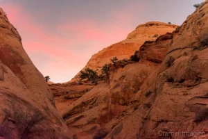 Cramer Imaging's fine art landscape photograph of a colorful pink sunset at Capitol Reef National Park Utah