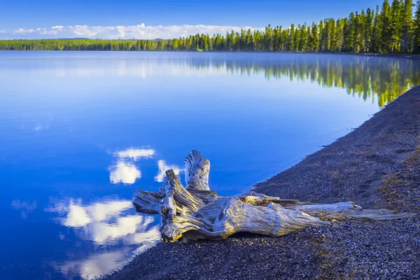 Audrey Cramer Photography's quality landscape photograph of reflections in Lewis Lake in Yellowstone National Park, Wyoming