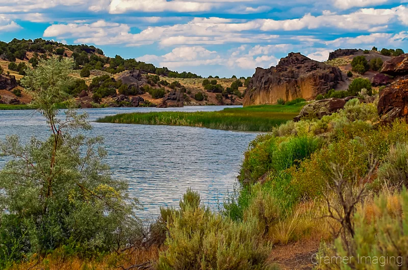 Professional scenic landscape photograph by Audrey Cramer Photography of the Snake River and wild plants at Massacre Rocks State Park, Idaho