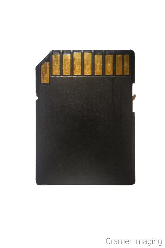 Illustration of and SD memory card on a white background by Audrey Cramer Photography