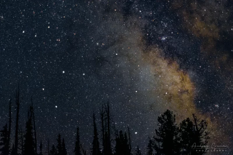 Audrey Cramer Photography's fine art photograph of the Milky Way glowing in the eastern sky with foreground trees in silhouette