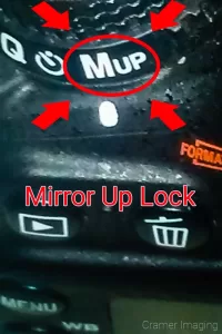 Graphic of where you might find the mirror up lock on your camera by Cramer Imaging