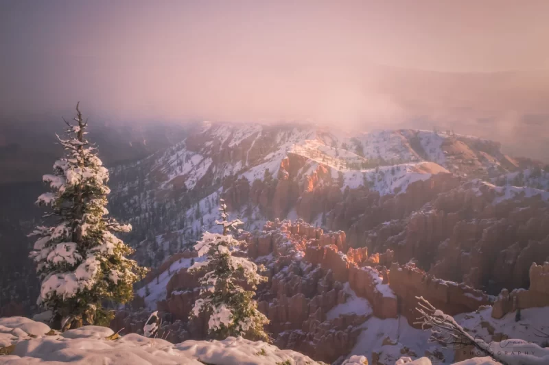 Audrey Cramer Photography's fine art landscape photograph of a low-lying cloud obscuring the edge of Bryce Canyon National Park, Utah