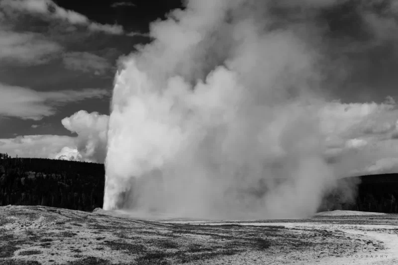 Audrey Cramer Photography's black and white landscape photograph of Old Faithful geyser at Yellowstone National Park, Wyoming