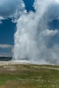 Cramer Imaging's quality landscape photograph of Old Faithful erupting in Yellowstone National Park with wildflowers in front