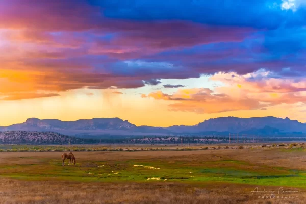 Audrey Cramer Photography's fine art landscape photograph of a horse grazing in a wide open field in Utah with a dramatic sunset above