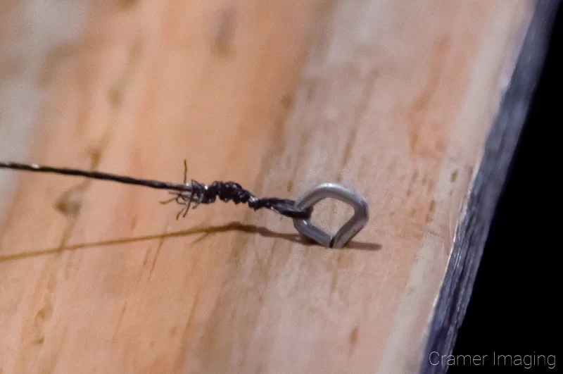 Photograph of a picture wire hook attached to a wooden frame with picture wire attached to it by Audrey Cramer Photography