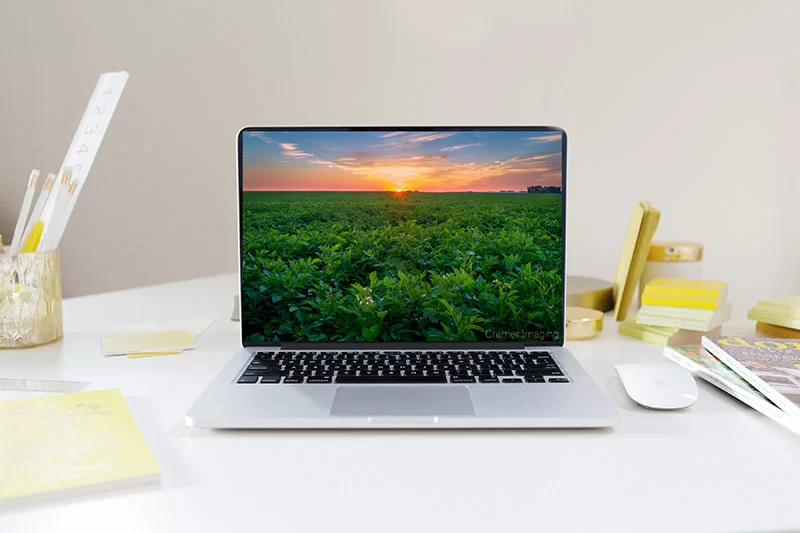 Photograph of an Audrey Cramer Photography landscape photo on a laptop computer screen for commercial use