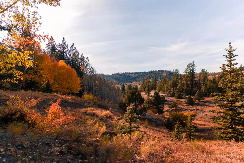 Photograph of pretty landscape scenery in autumn which was not photogenic