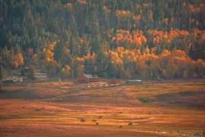 Photograph of a pretty rural scene in autumn which was not photogenic