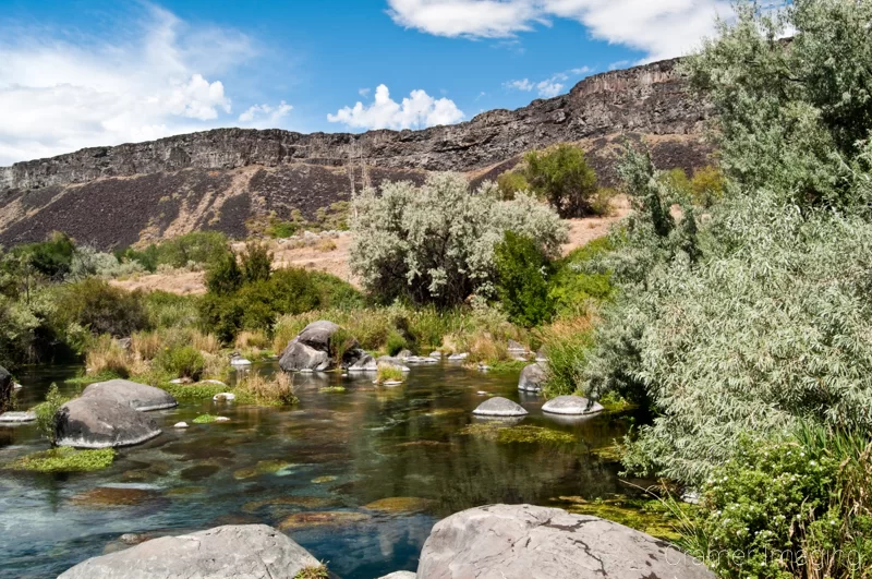 Landscape photograph of a Snake River inlet in Thousand Springs State Park near Hagerman, Idaho