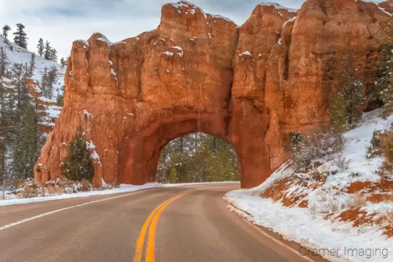 Read more about the article Is It a Tunnel or an Arch?