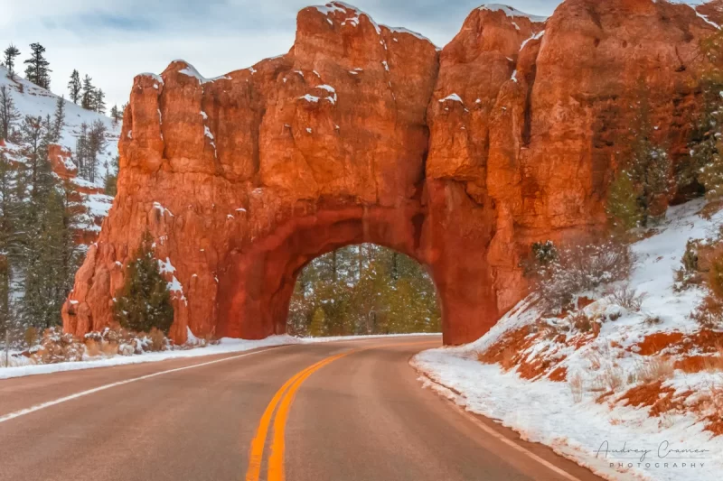 Professional quality landscape photograph of a tunnel or arch in Red Canyon Utah by Audrey Cramer Photography