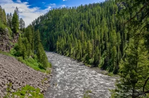 Scenic landscape photograph of the Snake River and trees near Harriman State Park, Idaho by Cramer Imaging