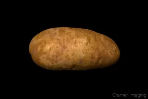 Product photograph of one single Idaho Russet potato on a black background taken by Cramer Imaging