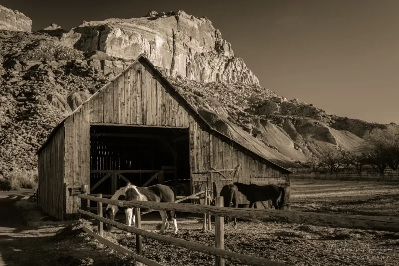 Audrey Cramer Photography's fine art landscape photograph of horses eating at a barn in Capitol Reef National Park Utah